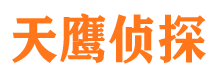 兴城侦探公司